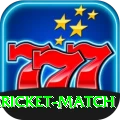 all cricket match King v2.3.1