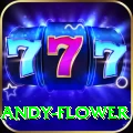 andy flower Deluxe - Win Real PKR