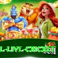 bpl live cricket Turbo Jackpot