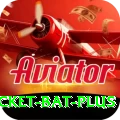 cricket bat - Slots Deluxe