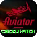 cricket pitch Legend - Casino & Slots