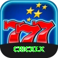 crickex Super - Daily Bonus