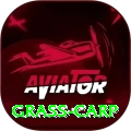 grass carp - Gaming Prime