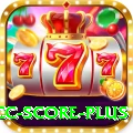 icc score Max v3.1.1