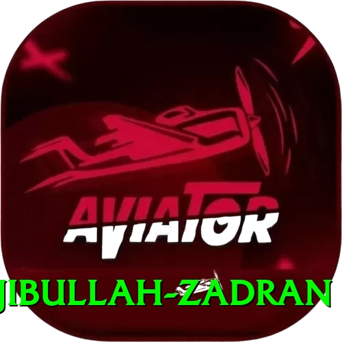 najibullah zadran - Live Elite - 2