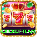 new zealand cricket team Live Pro