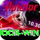 Noob Win VIP Pro v1.3.9