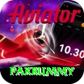 pakrummy Money Elite v3.0.4