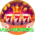 powerball numbers - Mega Earning App