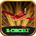 r cricket App Pro v1.0.0