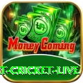 smart cricket live Super APK v2.2.1