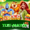 test match Casino Official v4.2.8
