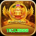 tiger888 Cash Max
