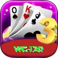 wc t20 Elite Casino App